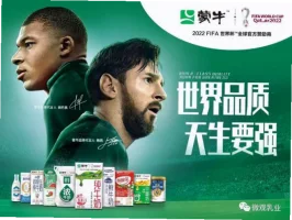 2026美加墨世界杯(中